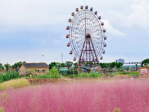 達人村1